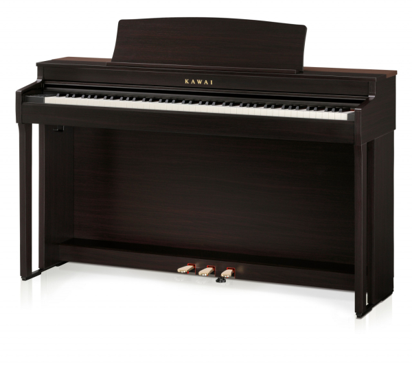 Kawai CN301 R